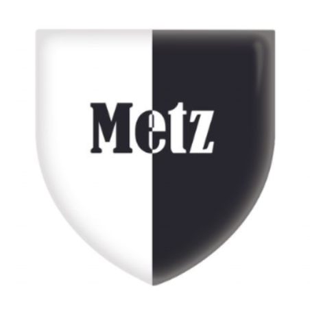 MAGNET DOMING BLASON METZ