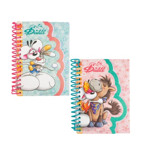 Carnet A6 spirale Diddl