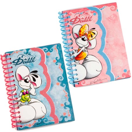 Carnet forme A6 Diddl